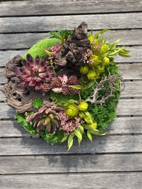 Zimné zátišie so skalkou a mulčovanými rastlinami