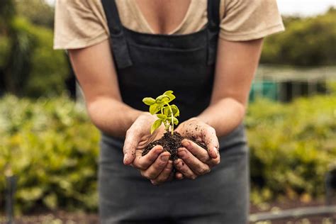 Ukážka rôznych záhradníckych potrieb, ako sú hnojivá, náradie a rastliny