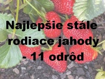 Ukážka rôznych odrôd jahôd