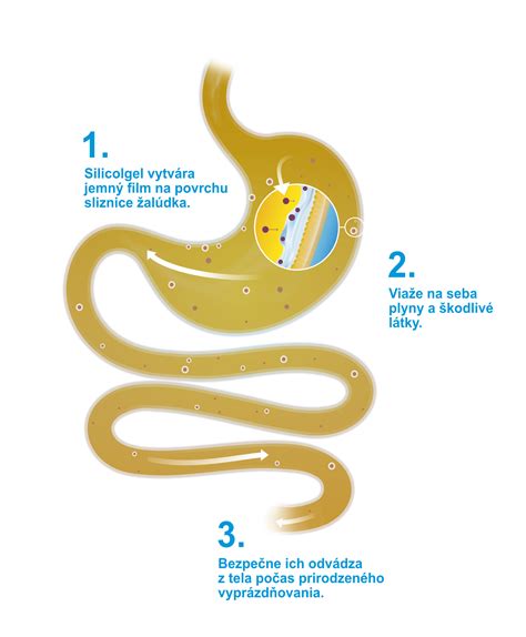 infografika o zložení guána a jeho účinkoch