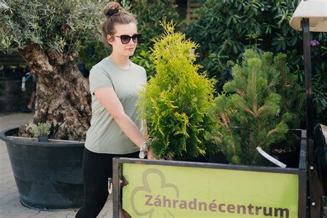 Ukážka sortimentu kvetov a drevín v záhradníctve