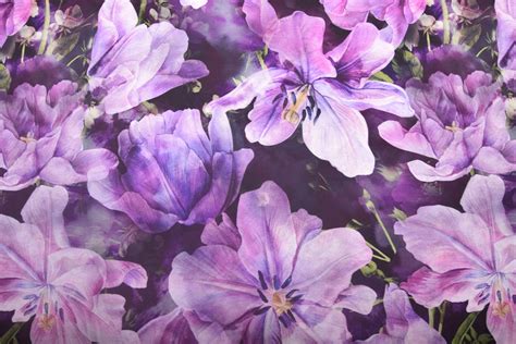 Detail listov a fialových kvetov zimozelene