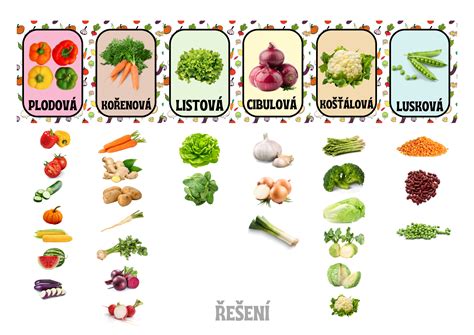 Infografika porovnávajúca rastové potreby a vzájomné vplyvy rôznych druhov zeleniny.