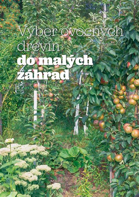 Ilustrácia rôznych druhov drobného ovocia vhodných do malých záhrad.