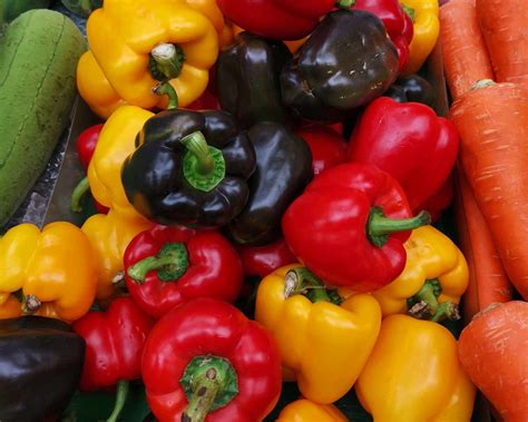 Ilustračná fotografia rôznych druhov a farieb papriky