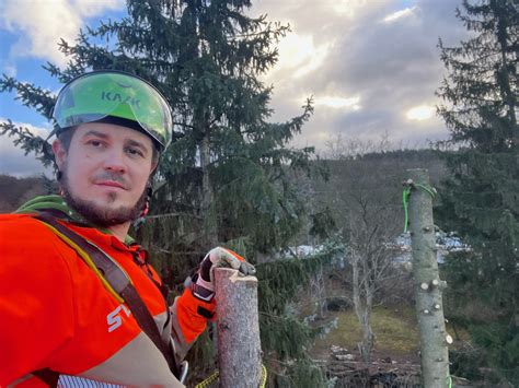 Arborist, ktorý ošetruje korunu stromu pomocou lanovej techniky