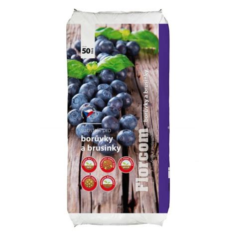 Náčrt správne pripravenej sadbovej jamy pre čučoriedky