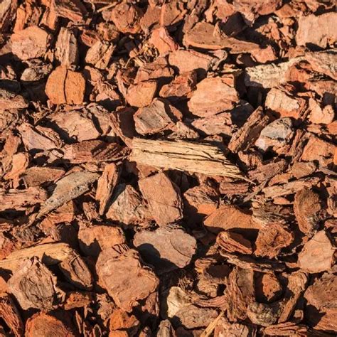 Produkt OBI Mulčovacia kôra s detailmi