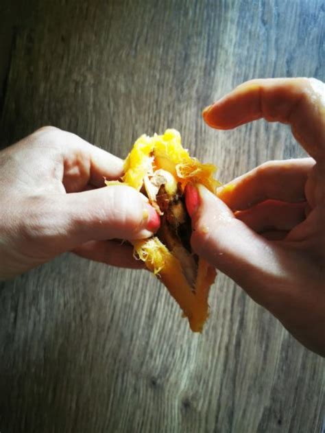 kôstka manga zakorenená vo vode