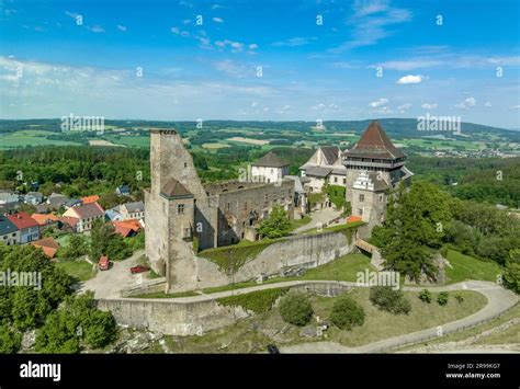 Štruktúra rastu lipnice lúčnej s podzemnými výbežkami