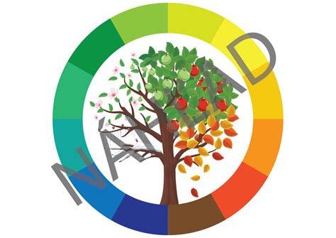 Grafické znázornenie pomeru NPK v hnojivách pre rôzne ročné obdobia