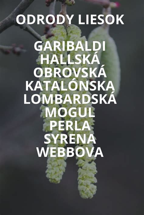 Ukážka rôznych odrôd liesok s rozličnými listami a plodmi