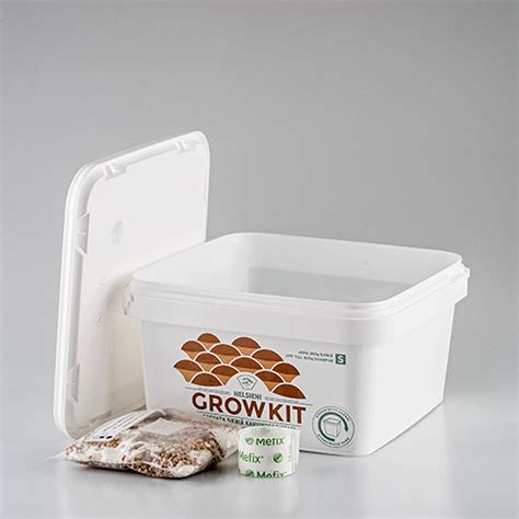 Growkit s kávovou usadeninou pokrytý bielym mycéliom hlivy