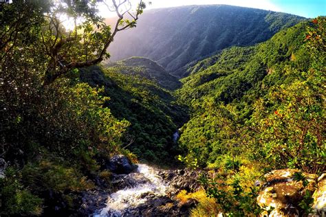 hustá zeleň a turistická trasa v národnom parku Black River Gorges