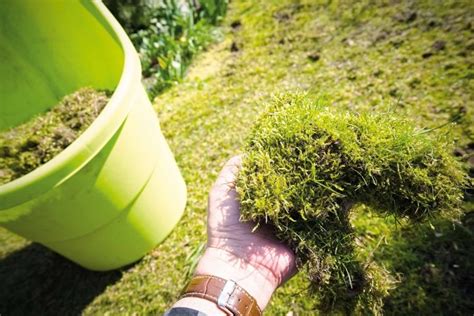 infografika s postupom odstraňovania lístia a ovocia z trávnika