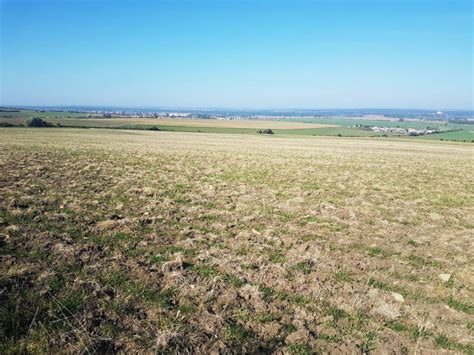 Pohľad na pestovateľské plochy záhradníctva