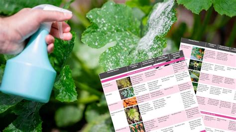 Ilustračná fotografia rôznych druhov záhradných chemických prípravkov