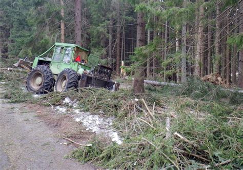 ilustračné foto presádzania stromu