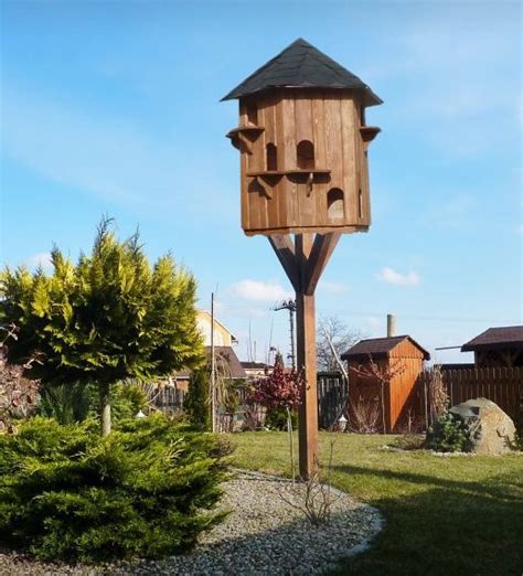 holubník s čistým prostredím