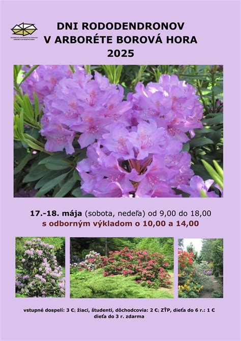 Ilustrácia rôznych druhov rododendronov a azaliek s popisom listov