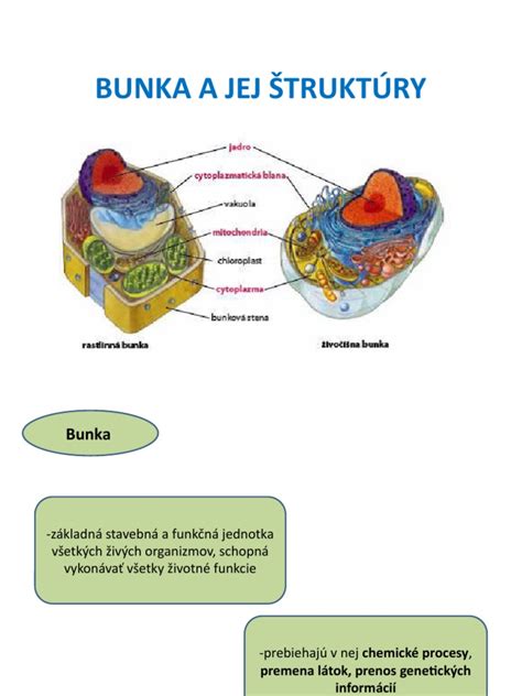 Diagram kryštalickej štruktúry kremeňa