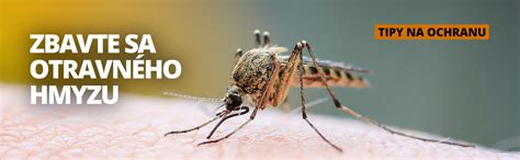 Ilustrácia rôznych hypotéz o účele pruhov zebier (maskovanie, termoregulácia, ochrana pred hmyzom)