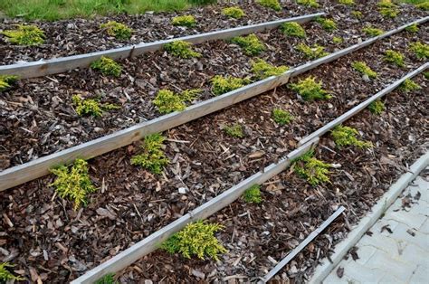 Ukážka použitia kokosovej siete na svahu s mulčovacou kôrou