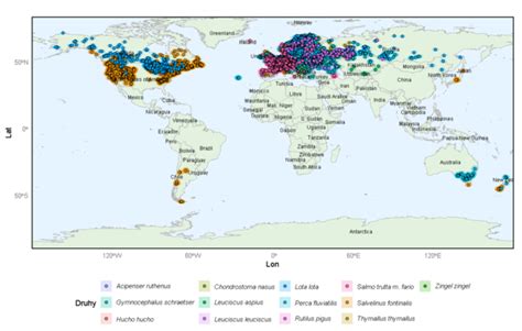 Mapa rozšírenia sibírskeho cédra