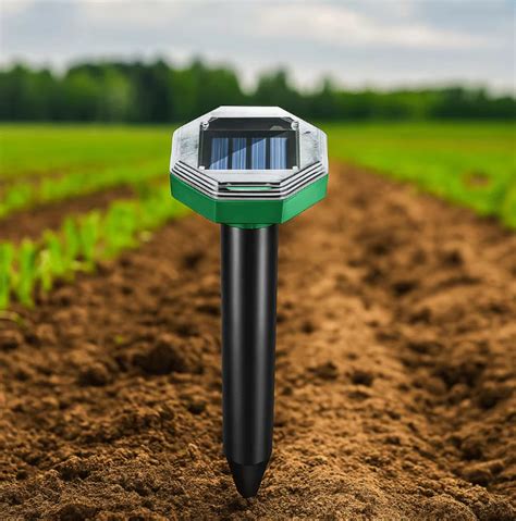 Ilustrácia škodcov napádajúcich céder