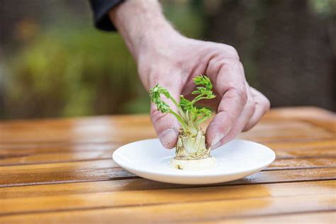 Foto: Odrezky mrkvy a petržlenu vo vode na parapete