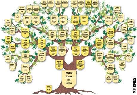 Schéma: Genealogický strom odrôd citrusov