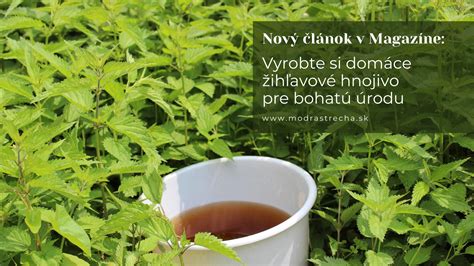 domáce žihľavové hnojivo v nádobe