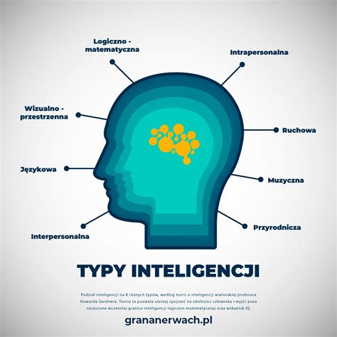infografika: typy trávnych semien pre rôzne podmienky