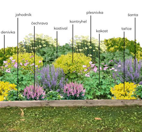 farebný trvalkový záhon s motýľmi