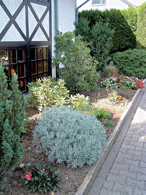 predzáhradka s tehlovým chodníkom a bylinkami