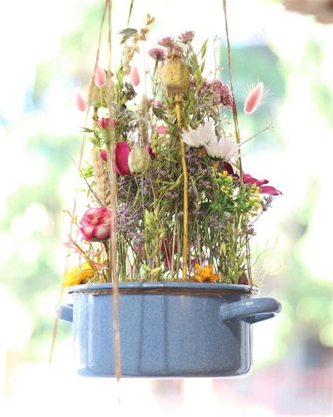 Kolekcia rôznofarebných kvetov rebríčka