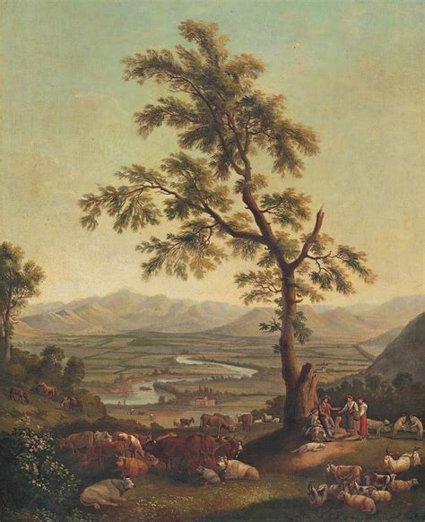 Schéma úpravy kruhu pod stromom: odstránený drn, vrstva kompostu a mulčovacia štiepka