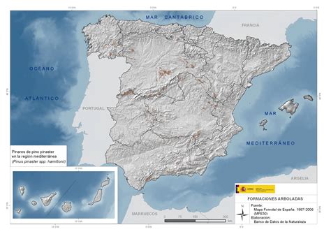 Mapa rozšírenia borovice Pinus Pinaster v Stredomorí