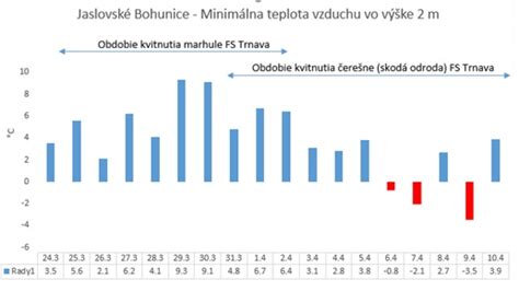 Schéma: Porovnanie obdobia rodivosti jednorodiacich a stáleplodiacich jahôd počas vegetačnej sezóny