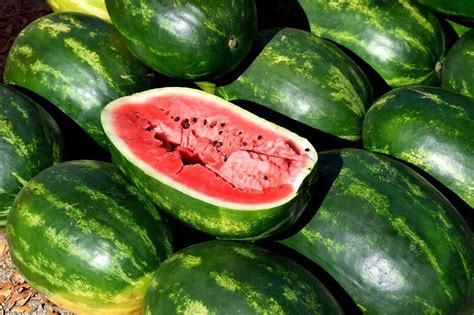 farebná fotografia rôznych odrôd cukrových melónov