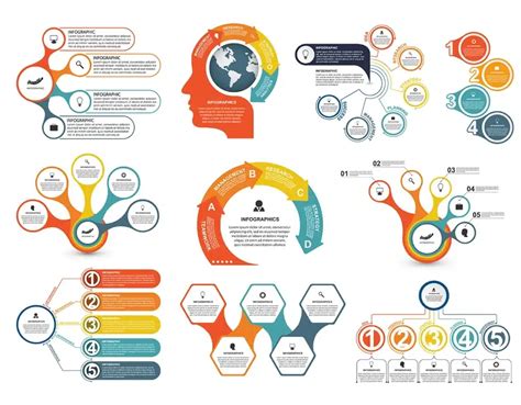 infografika rozdiel siatie a vysádzanie