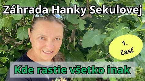 Ilustračná fotografia Hanky Sekulovej v jej prírodnej záhrade.