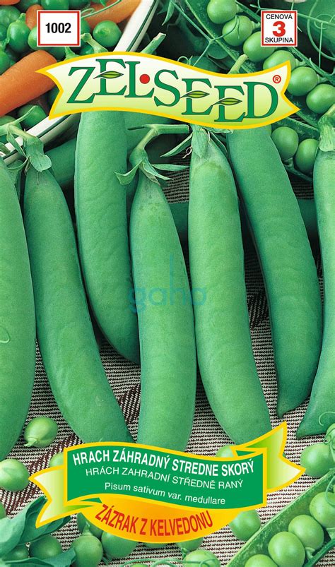 Detailná fotografia plodov odrody Skorý zázrak