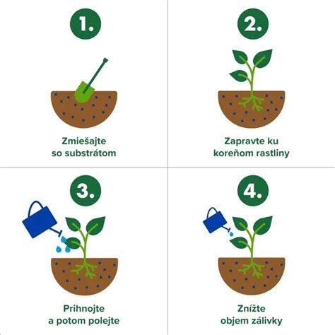 Infografika správneho dávkovania tekutých a granulovaných hnojív okolo koreňového systému