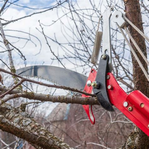 detail čepele nožníc na konáre s precíznym strihom a teflónovou úpravou
