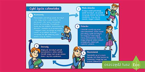 Infografika znázorňujúca frekvenciu hnojenia počas vegetačného cyklu (od štartovacieho hnojiva po kvetové).