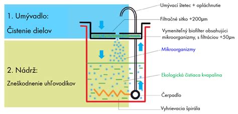 Prierez pôdou s hlbokým koreňovým systémom suchomilných rastlín