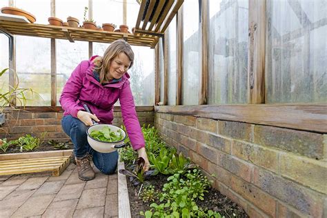 Fotografia študentov počas praktického výcviku v skleníku alebo na školskom pozemku.