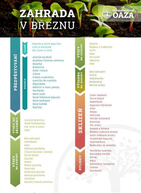 Infografika správneho výsevu zeleniny do pareniska a kvetináčov