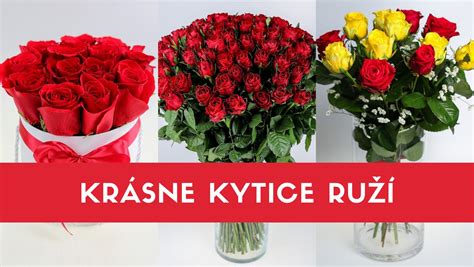 fotografia krásne rozkvitnutých ruží